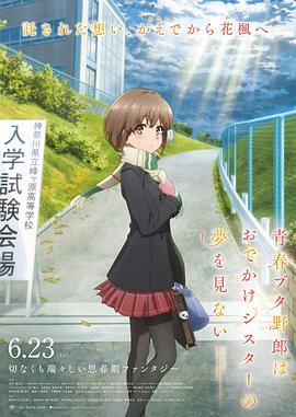 sm捆绑vk