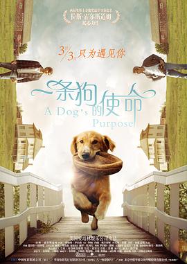 欧美人与动zoz0大全