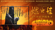久久久久久久一线毛片