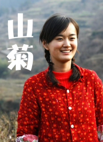 岛国成人在线