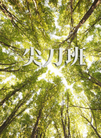 最漂亮的女职员