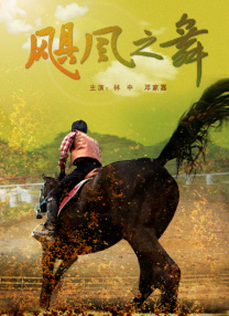 午夜视频入口