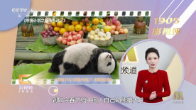 最近2019的中文字幕免费